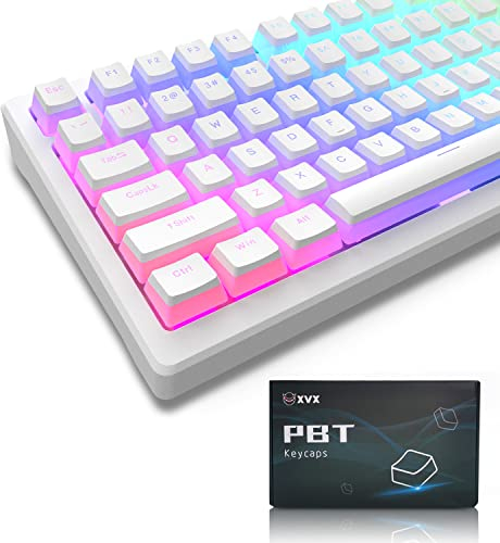 LQXQ Pudding Keycaps PBT, 165 Tasten QWERTY Custom Keycap Set, OEM Profil der Tastenkappen ANSI US Layout, universelle Kompatibilität für Tastaturen 100%, 75%, 65%, 60% - Weiß (ISO Nicht unterstützt)