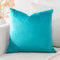 Artscope Samt Kissenbezug Kissenhülle Dekorative Dekokissen Sofakissen Lendenkissen Wurfkissenbezug Sofa Schlafzimmer 50x50cm Türkis