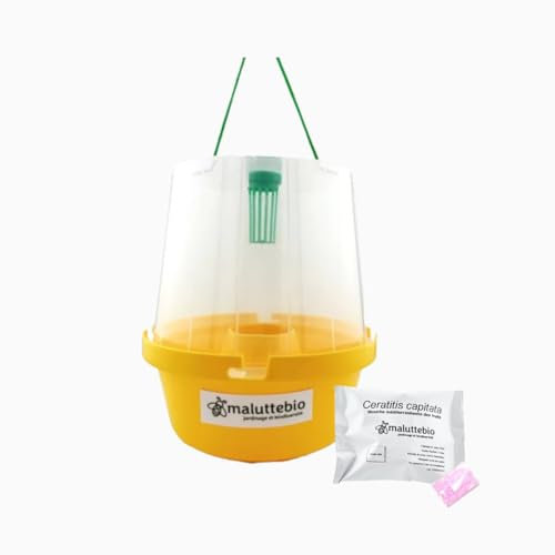 Piège à phéromones + 1 Sachet de phéromones Mouche méditerranéenne des Fruits - Traitement Anti Mouches méditerranéenne du Fruit