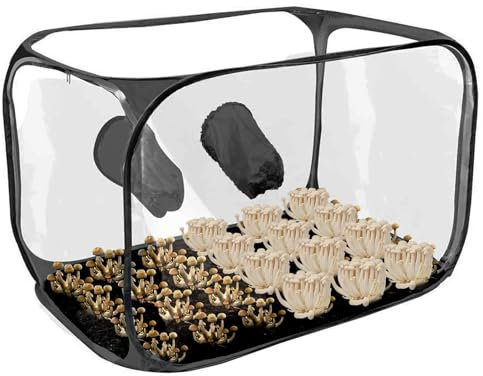 Generisch Stillluftbox – Faltbare Pilzzuchtstall-Luftbox | Pilz-Zucht-Set | Große Pilz-Mykologie-Abzugshaube | Pop-Up-Pilzzuchtbehälter