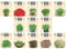 Nojaus Seklos Set di semi di verdure microgreen - 13 varietà per giardinaggio indoor, ravanello, porri e altro - facile da coltivare