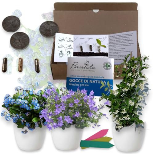 SEMI PIANTABILI (GIARDINO PENSILE: campanula, non ti scordar di me, gelsomino – KIT GERMINAZIONE COMPLETO)