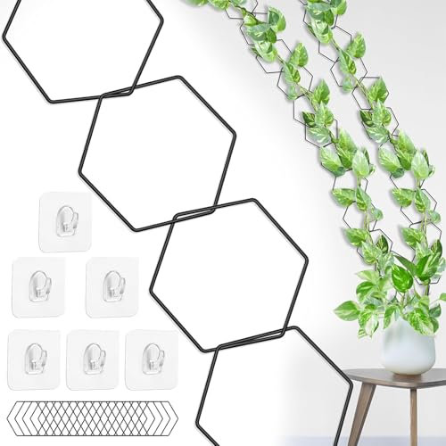 Treillis à chaîne pour plantes grimpantes - Support mural pour Pothos, Monstera, Lierre - Semelles d'intérieur