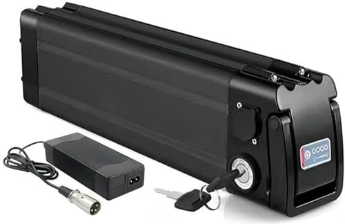 Batteria Per Bici Elettrica 36V 48V 8Ah 10Ah 13Ah 15Ah 18Ah 20Ah Batteria Ricambio Adatta Per Bici Pieghevole Bicicletta Elettrica 48V 15Ah,1