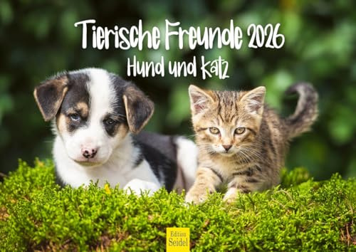 Edition Seidel Calendario premium de Amigos Animales Perro y Gato 2026 Formato DIN A4 Calendario de Pared Calendario Animales Perros Gatos Cachorros Gatitos Amistad