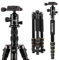 ZOMEI Q666 Trépied Appareil Photo, 155cm Trépied de Voyage en Aluminium avec Monopode et Sac de Transport pour Caméra Photographie Youtube TikTok Vidéo