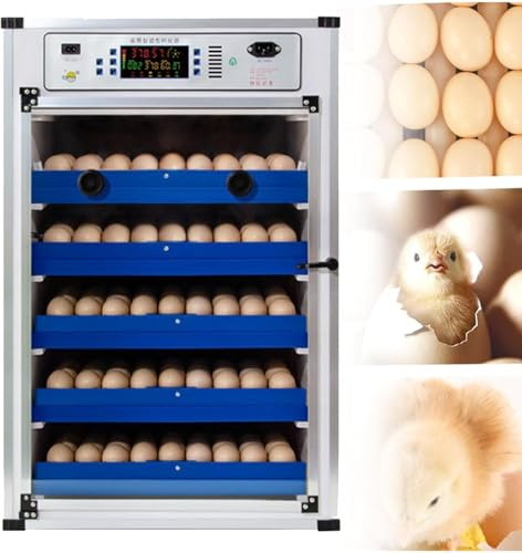 Incubateur automatique d'œufs pour éclosion de poulet, volaille, pigeon et gibier à plumes – Comprend un retournement automatique des œufs, un ajout d'eau et un bougeoir à œufs intégré