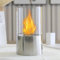 JHY DESIGN Brasero de Table Portable - Hauteur : 29 cm - Combustion Propre au Bio éthanol - Ventless Fireplace - Argenté