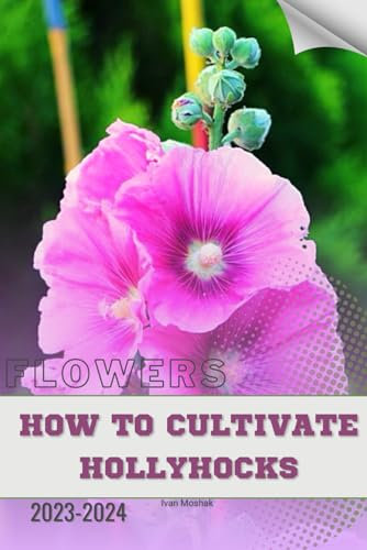 How to Cultivate Hollyhocks: Become flowers expert