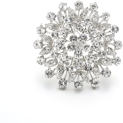 EVER FAITH Austrian Crystal Wedding Prom Accessories Elegant 2.5 Inch Large Corsage Pin Flower Leaf Bridal Brooch for Women Bride Clear