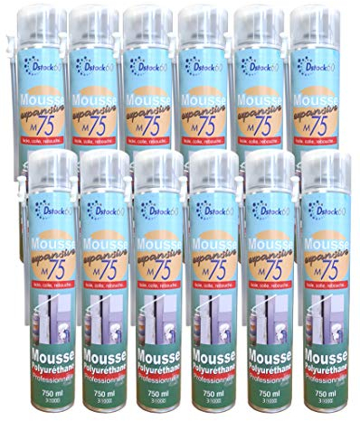 DSTOCK60 - LOT DE 12 MOUSSES EXPANSIVES MANUELLES 750ML - MOUSSE POLYURETHANE PROFESSIONNELLE - ISOLE, COLLE, REBOUCHE - EXTERIEUR ET INTERIEUR