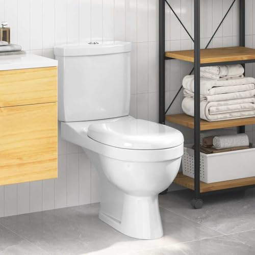 GeenYuu Keramisk toalett med cistern vit 70 x 39 x 76 cm, dubbel spolmekanism 3 eller 6 L, stående toalett med horisontell avlopp, spolfri, lätt att rengöra för badrum och gästtoalett