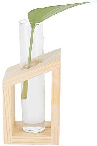 Stazione di Propagazione delle Piante, Terrario per Piante in Vaso con Provetta in Vetro con Supporto in Legno per La Propagazione delle Piante Idroponiche Decorazioni per La Casa(Tubo singolo)