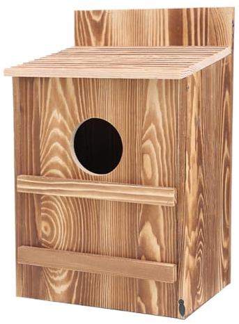 Acebo De, Caja de Cole - Casas De Madera Para Al Aire Libre Montaje Fácil, Birgon Grande Hecho A Mano Con Apertura Circular, Incluye Tornillos Montaje