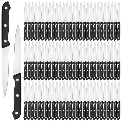 Lasnten 100 Pcs 8.78 Inches Stainless Steel Steak Knives Set Pointed Tip Plastic Handle Kitchen Steak Knife for Restaurant Tableware Camping Wedding Party, Black
