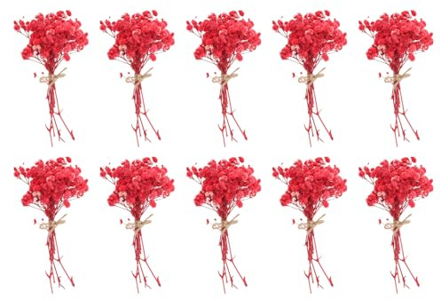 PATIKIL Mini bukett torkade blommor, 10 st naturlig Gypsophila med stjälk dekoration boho blomväxt för hantverk, gör-det-själv-fotoplåtar, present bröllopsdekoration, röd