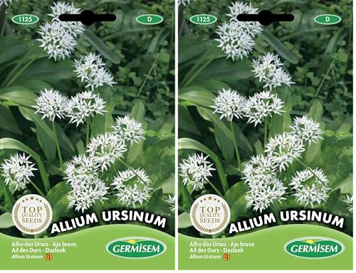 Germisem Allium Ursinum Semillas de Ajo Silvestre 0.7 g, EC1125 (Paquete de 2)