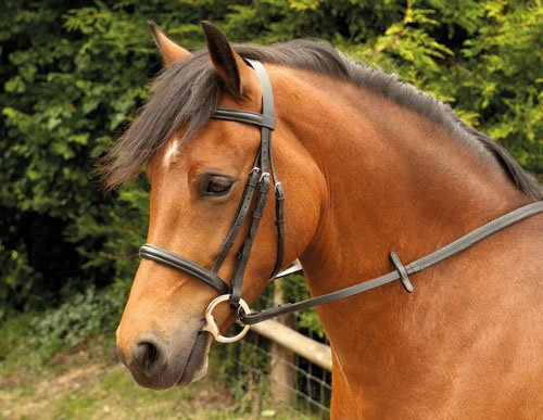Windsor Leather Snaffle Cavesson Bridle With Reins, In Havana Brown Pony, Havana