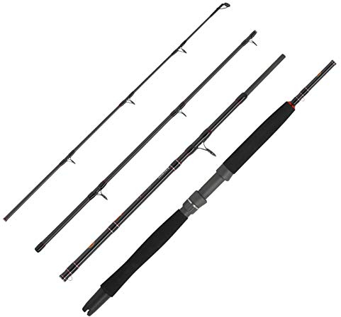 WFT Angelrute 2,10m 200-600g 4-teilig Norwegenrute