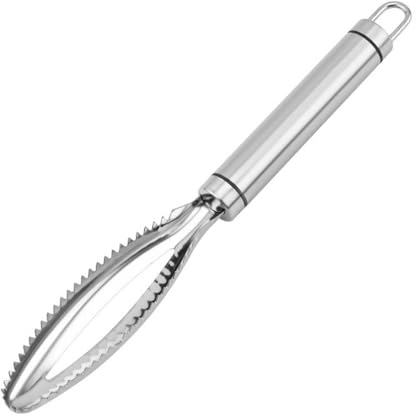 QHFlashbuy Fischentschupper,Fischentschupper Edelstahl,Profi Fisch Scaler Scraper,Fischschaber für Küche Fisch KüChenhelfer(25 * 3.7cm)