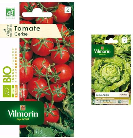 Vilmorin 3961734 Tomate cerise bio Rouge 9 x 0.5 x 16 cm & 3600142 Pack de Graines Laitue Pommée Appia