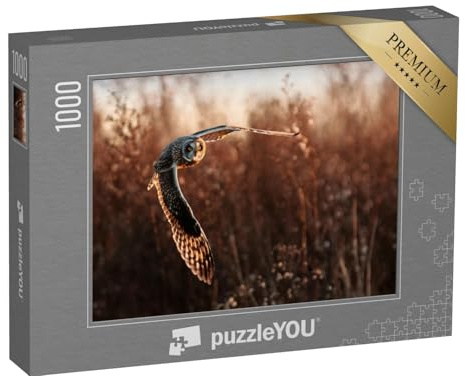 puzzleYOU: Puzzle 1000 Teile „Sumpfohreule im Flug bei der Jagd“ – aus der Puzzle-Kollektion Eulen, Vögel, Exotische Tiere & Trend-Tiere