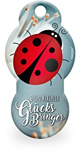TRIGGI® Einkaufswagenlöser – Einkaufswagenchip zum Abziehen und Schlüsselanhänger mit Glücksbringer Motiv (MARIENKÄFER)