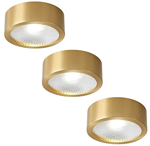 FAZRPIP 3 Pezzi Faretti da Incasso a soffitto montati su Superficie Faretti LED da Incasso Rotondi da 3/4 di Pollice 5W/7W/9W Luce Diurna Retrofit Downlight Pannello Rotondo Ultrasottile