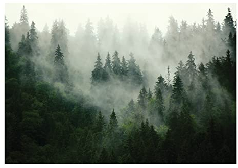 WallArena - Vlies Fototapete Wald Nebel Landschaft Grün Natur Bäume 416x254 cm - Fototapeten - Tapeten - für Wohnzimmer Schlafzimmer - Vliestapete Wandtapete Tapete 3D Effekt- inkl. Kleister