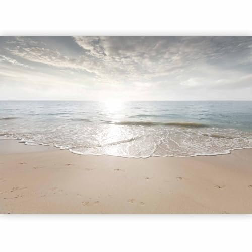 murando Fotomurales Playa Mar 350x256 cm XXL Papel pintado tejido no tejido coración Pared corativos Murales morna Diseno Fotográfico Paisaje Naturaleza Ondas c-C-10033-a-a