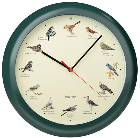 Belinlen 13 Inch Singing Bird Wall Clock Light Sensor Bird Clock That Sings on Hour (Green)