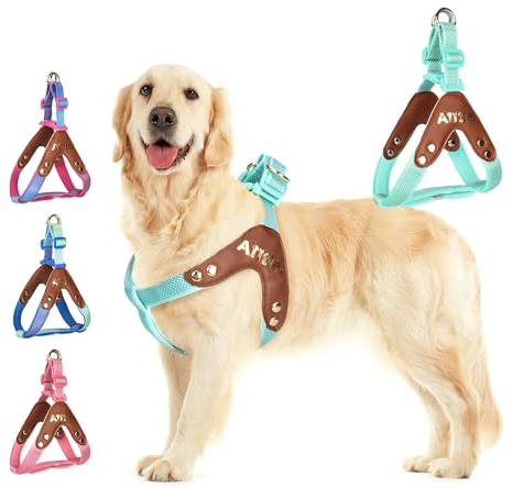 AIITLE Arnés antitirones para Perros: Chaleco Acolchado Reflectante, Suave y Ajustable para Perros pequeños, medianos y Grandes, diseño antiestrangulamiento para pasear Turquesa XL