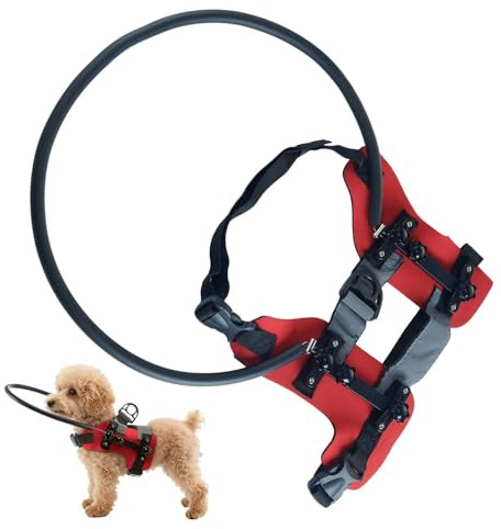 Arnés Protección Ceguera Mascota Tiras Reflectantes & Protector Desmontable | Arnés Halo Perro Ciego Gatos & Perros con Discapacidad Visual