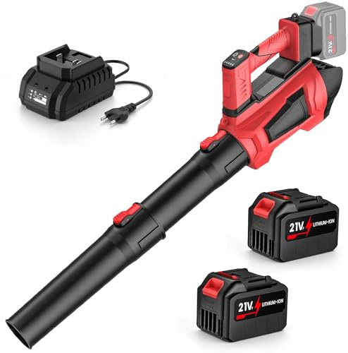 IERAKOR Soffiatore a Batteria 21V, 360 km/h & 2 Batterie 4500mAh
