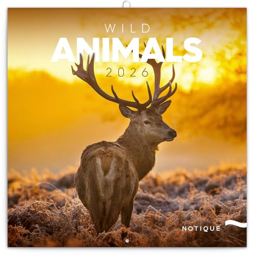 NOTIQUE Wall Calendar 2026 Wild Animals Calendar, Brochure Calendar with Monthly Calendar, Brochure Calendar 30 x 30 cm (30 x 60 Open)