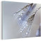 MuchoWow Glasbild Glasfoto Wandbild Bilder Deko 40x30 cm Wassertropfen auf Löwenzahnsamen