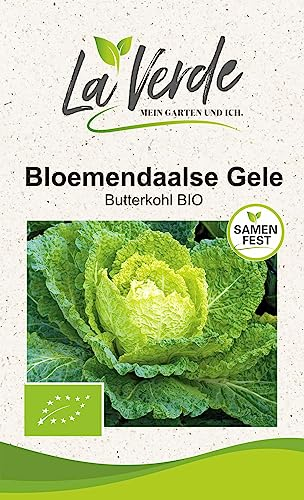 Butterkohl Bloemendaalse BIO Gemüsesamen