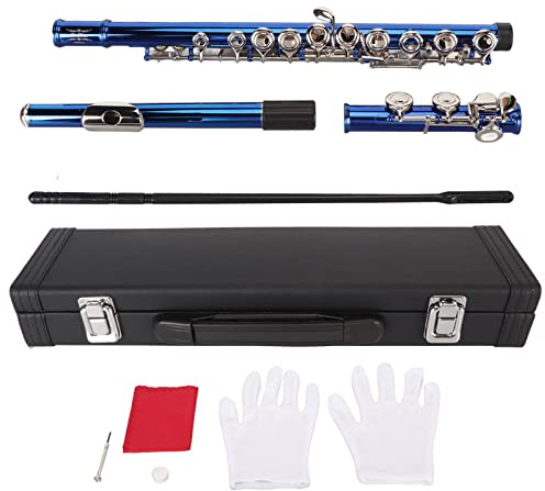 Srliya Flauto a 16 Tasti, Colore Blu per Bambini, Tasto C, Foro Chiuso, Tono Alto, Risposta Sensibile, Comoda Impugnatura Flauti per Bambini, Flauti per Bambini, Flauti per