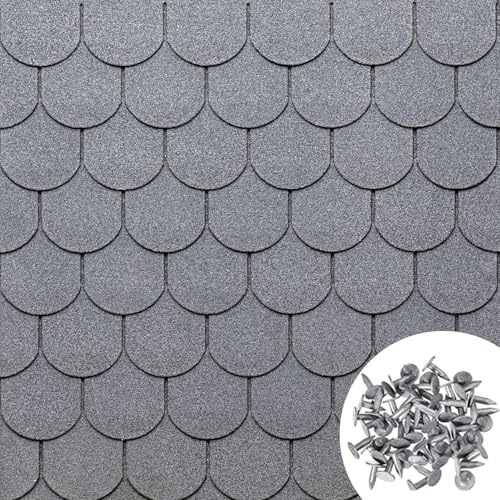 MASTERBRICO Tegole Canadesi per Tettoia Esterno 2,32 mq (16 Pz)