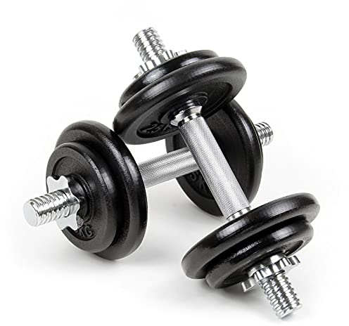 LUXTRI Kurzhantel Set 20 kg im praktischen Koffer mit 8 Gusseisen-Hantelscheiben und 2 Hantelstangen mit Sternverschlüssen Hantel Set Training Gewichte Hanteln für Zuhause Hantelset