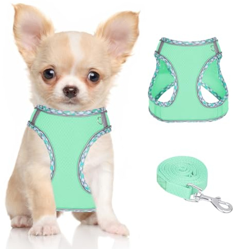Doggiekit Harnais pour petit chien avec laisse, step réfléchissant réglable dans le harnais pour chiot, harnais en maille respirante, gilet rembourré doux pour chiens de taille extra petite/moyenne