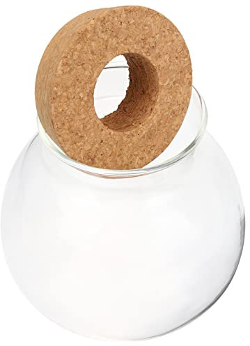 NOLITOY Per Idroponiche Design Per Decorazione Flora e Propagazione Versatile Per o Mensola