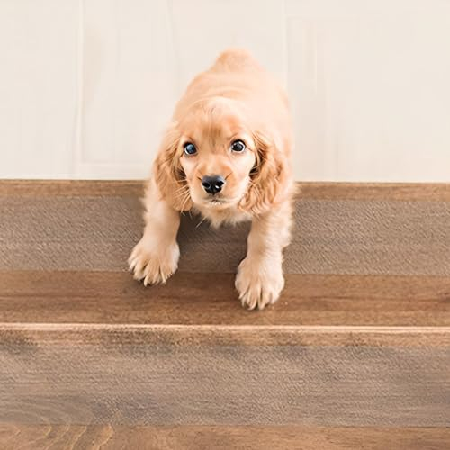 Qobobo Treppenstufen Matten Antirutschmatte, 15 Stück 60x15cm Stufenmatten für innen Treppe, Antirutsc Teppich mit Walze, Wasserfeste Treppenteppich Selbstklebend für Holzstufen Set