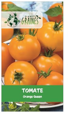 300 Graines de Tomate Ancienne 'Orange Queen' - Gros Fruit Rond Orange, Saveur Douce et Peu Acide, Chair de Bœuf