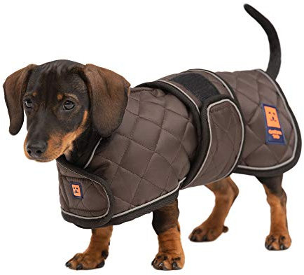 Ginger Ted Warm Harness Dachshund Coat size 12/30cm Brown - for short-legged breeds, warm fleecy lining, zip shoulder harness slot, reflective piping, jacket raincoat parka style
