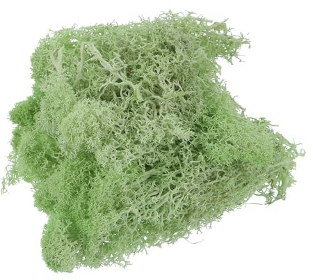 QUARKZMAN 3,5 OZ Muschio Finto per Artigianato, Muschio Artificiale Naturale Preservato per Progetti Artigianato Floreale Fai Da Te Decorazione Pareti Matrimoni Giardini (Verde Chiaro)