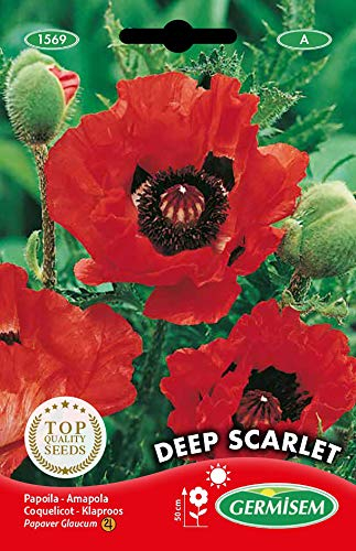Germisem Deep Scarlet Semi di Papavero 1 g