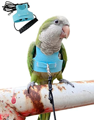 Vogelfluggeschirrweste, Papageien-Fluganzug mit Leine für Sittiche, Nymphensittiche, Wellensittiche, Wellensittiche, Vogelfliegende Kleidung mit Seil und Griff, für Outdoor-Aktivitäten, Training,