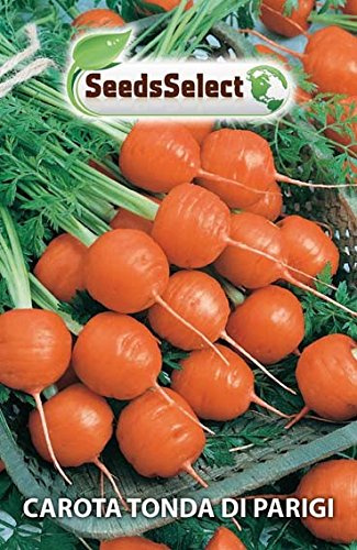 Semi Carota Tonda di Parigi,10 Grammi