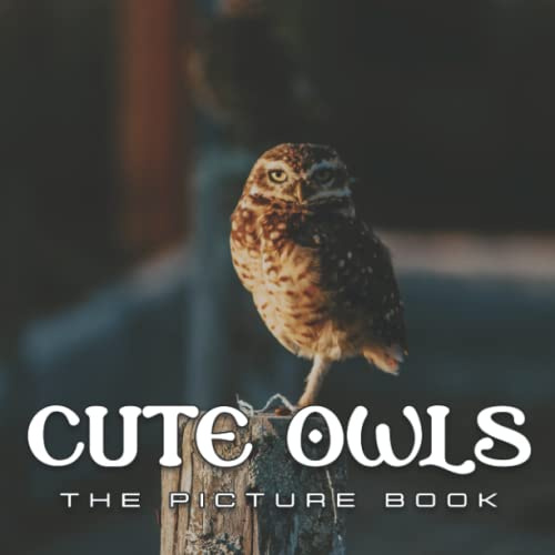 Cute Owls Picture Book: Compelling Photos Of Cute Owls Collection As A Perfect Gift Idea For Animal Lover Family Relatives Friends Lover All Age